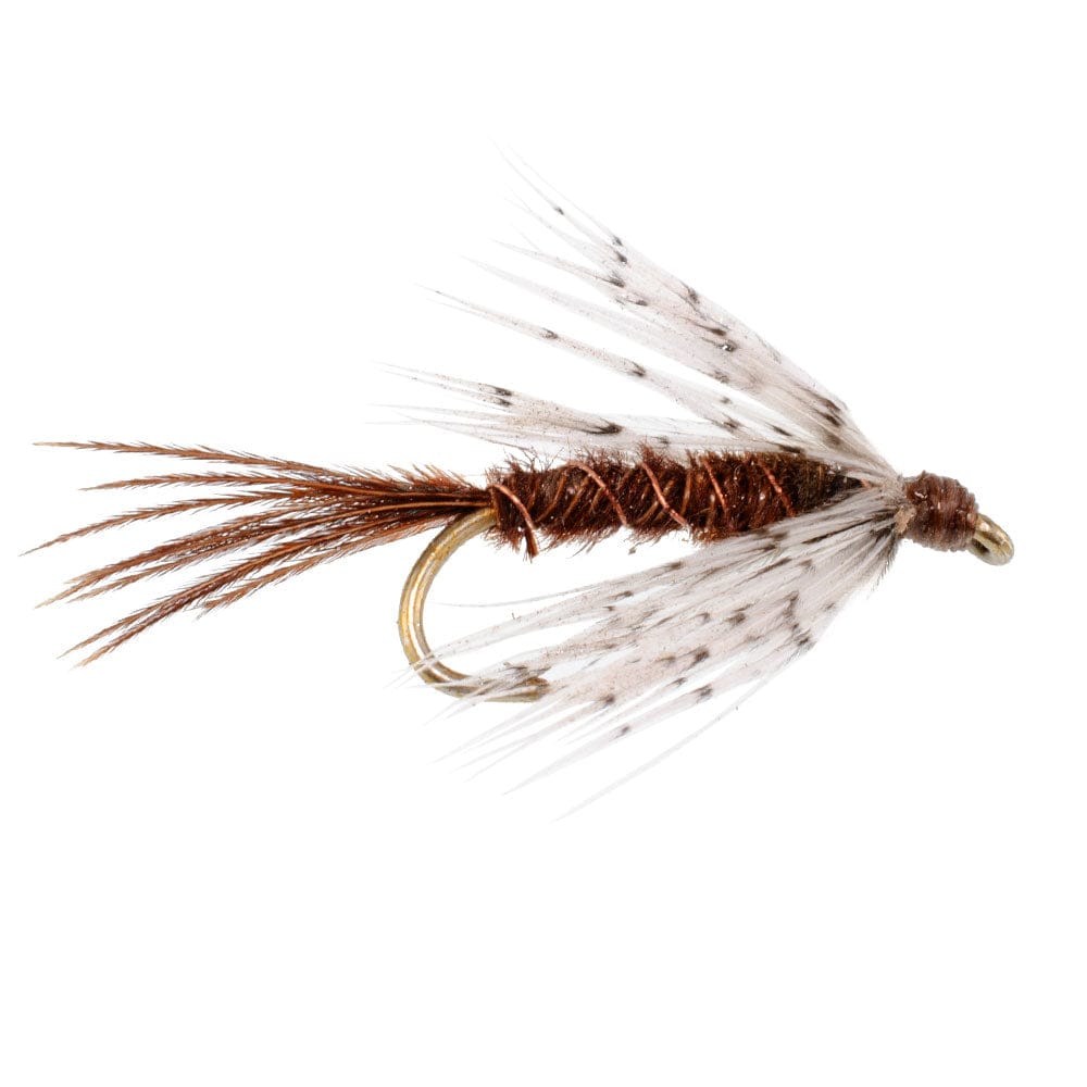 The Fly Fishing Place Trout Wet Flies Soft Hackle Partridge and Pheasant Tail Fly Fishing Wet Flies - 6 Flies Hook Size 16