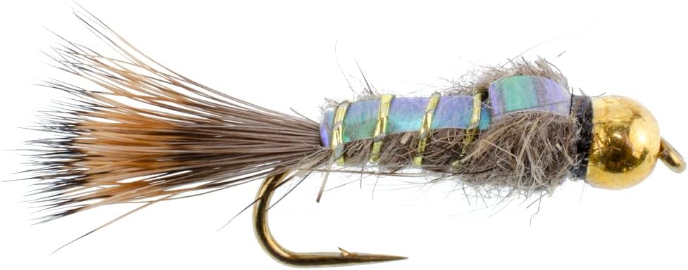 The Fly Fishing Place Trout Wet Flies Tungsten Bead Flashback Gold Ribbed Hare's Ear Trout Fly 1 Dozen Nymph Wet Flies Size 10