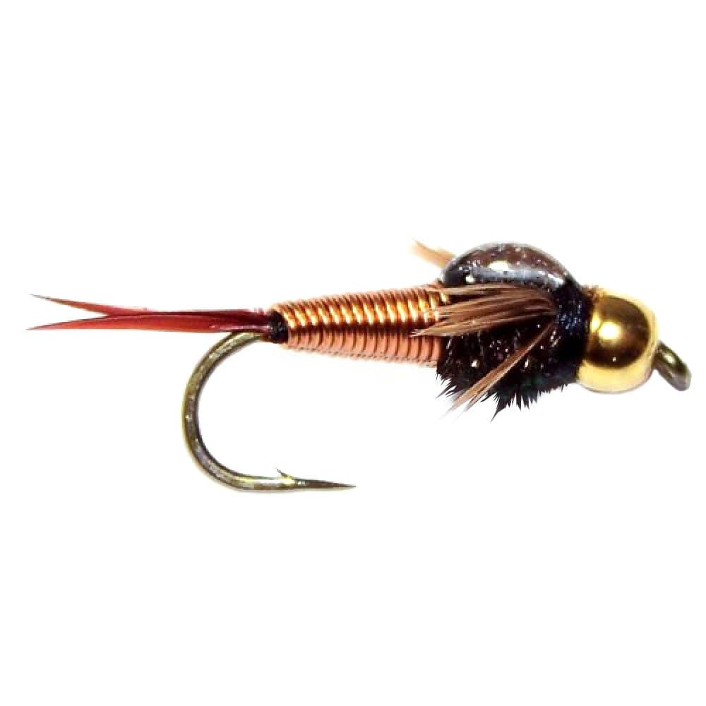The Fly Fishing Place Trout Wet Flies Tungsten Bead Head Copper John Nymph 1 Dozen Fly Fishing Flies - Hook Size 10