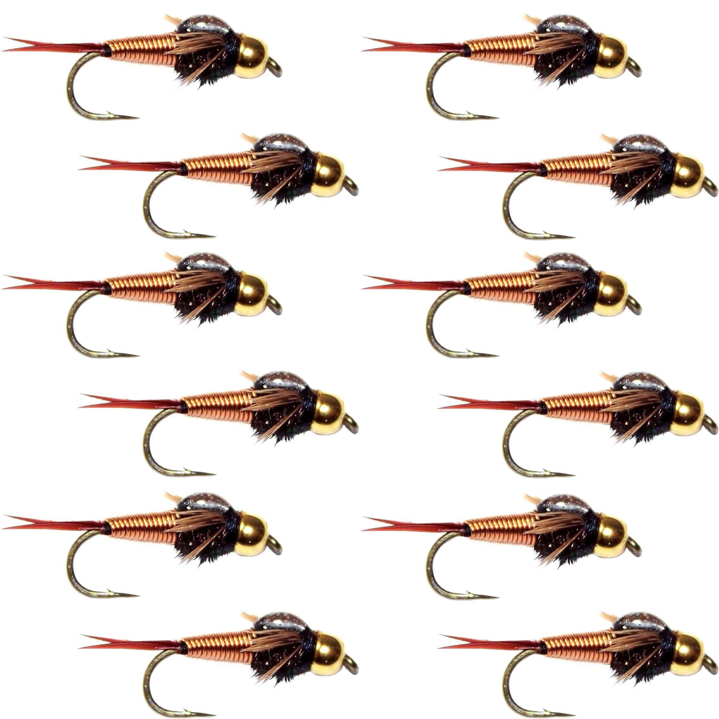 The Fly Fishing Place Trout Wet Flies Tungsten Bead Head Copper John Nymph 1 Dozen Fly Fishing Flies - Hook Size 12