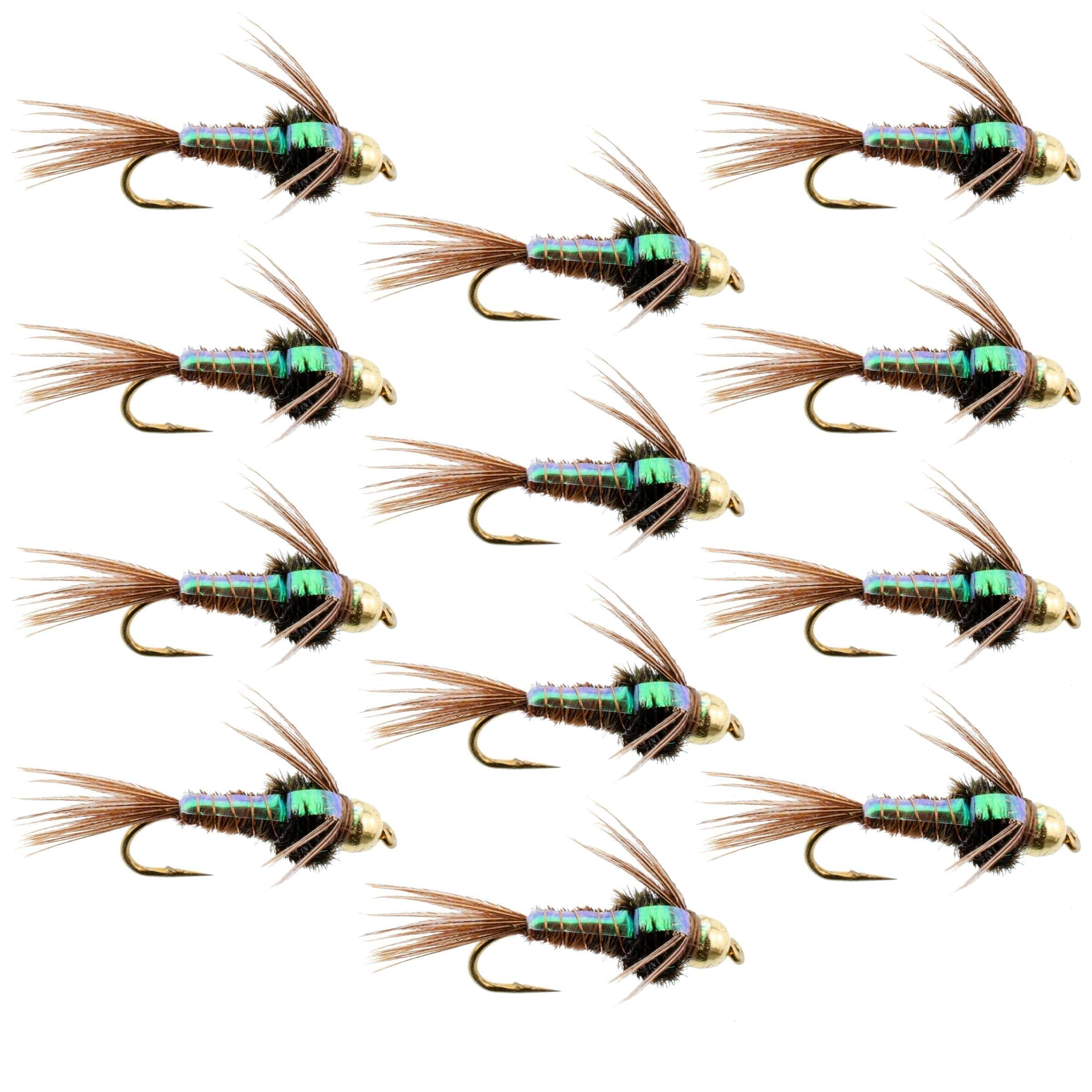 The Fly Fishing Place Trout Wet Flies Tungsten Bead Head Flash Back Pheasant Tail Nymph 1 Dozen Flies  Size 14