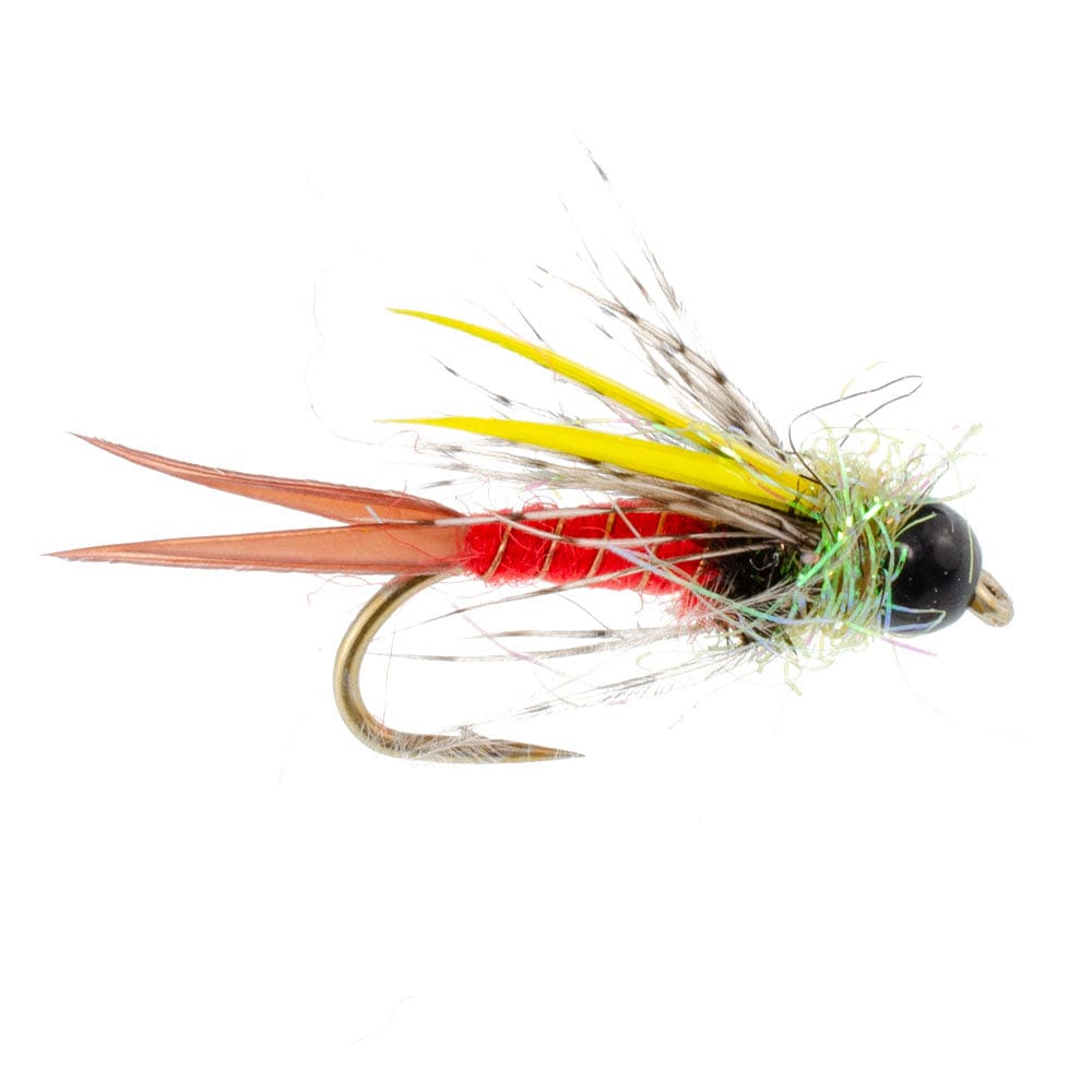 The Fly Fishing Place Trout Wet Flies Tungsten Bead Head Nicks Prince Special Nymph Fly Fishing Flies - Set of 6 Flies Hook Size 16
