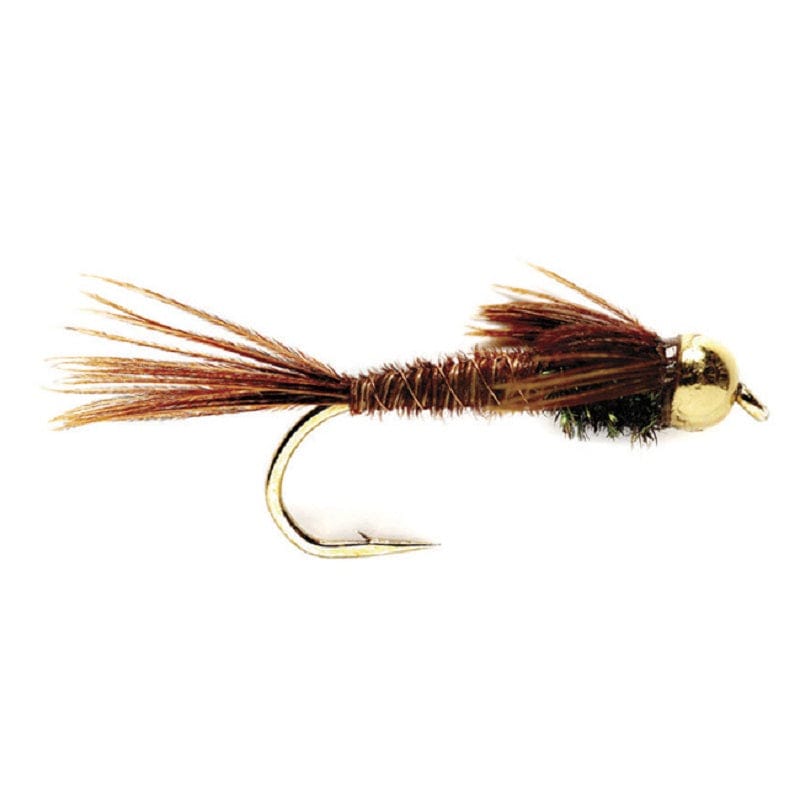 The Fly Fishing Place Trout Wet Flies Tungsten Bead Head  Pheasant Tail Nymph 1 Dozen Flies  Size 16