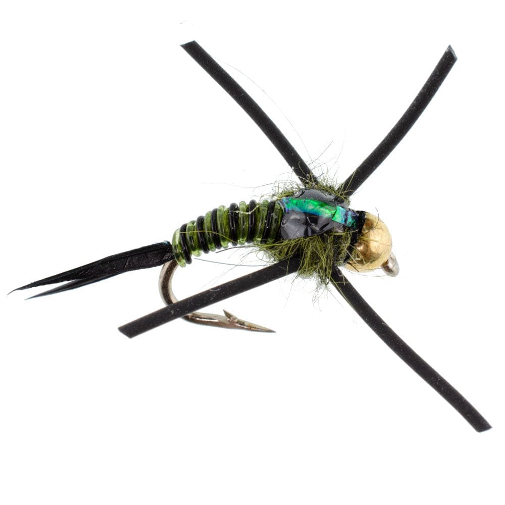 The Fly Fishing Place Trout Wet Flies Tungsten Bead Head Rubber Legs Black Olive Zebra Copper John Nymph Fly Fishing Flies - Set of 6 Flies Hook Size 12