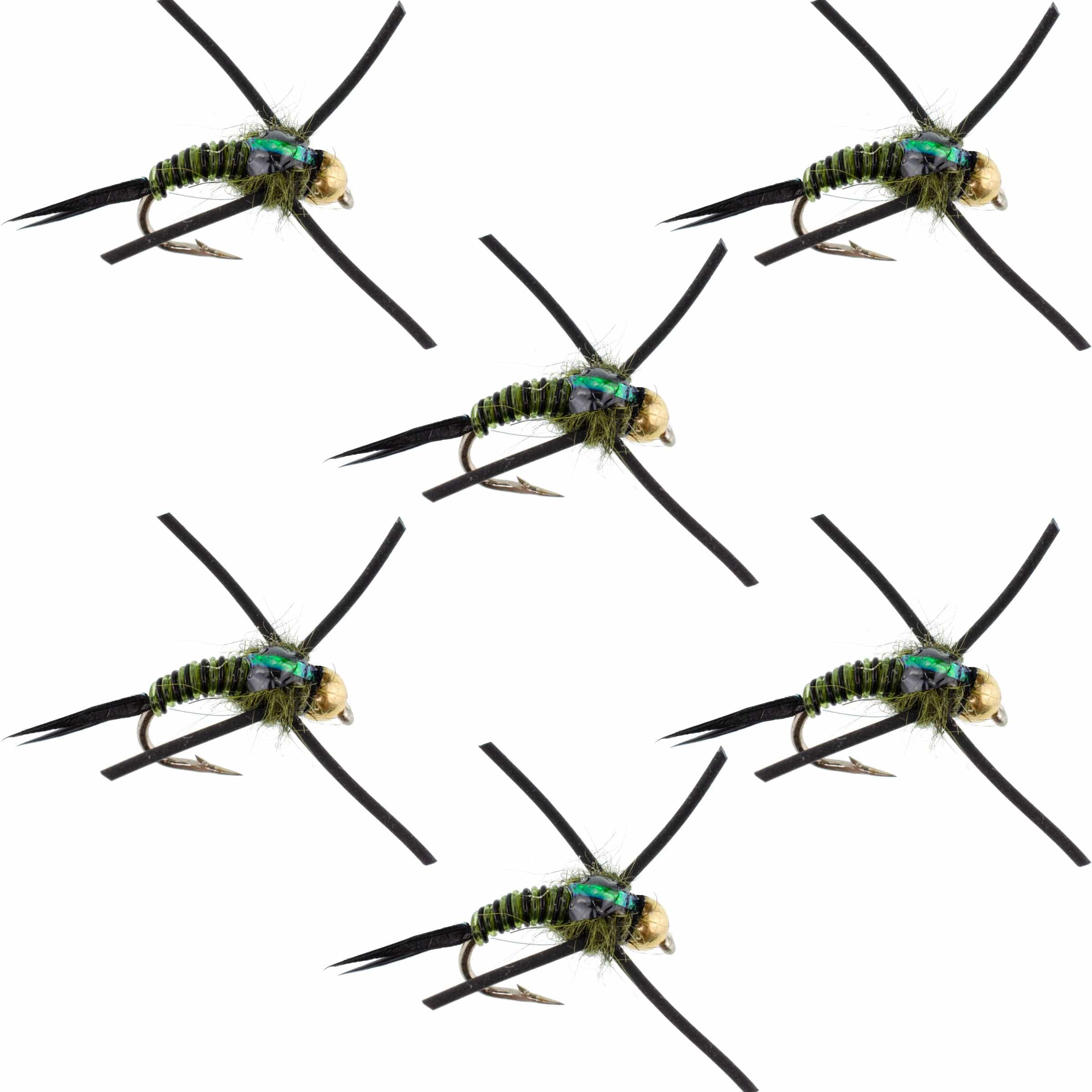 The Fly Fishing Place Trout Wet Flies Tungsten Bead Head Rubber Legs Black Olive Zebra Copper John Nymph Fly Fishing Flies - Set of 6 Flies Hook Size 16