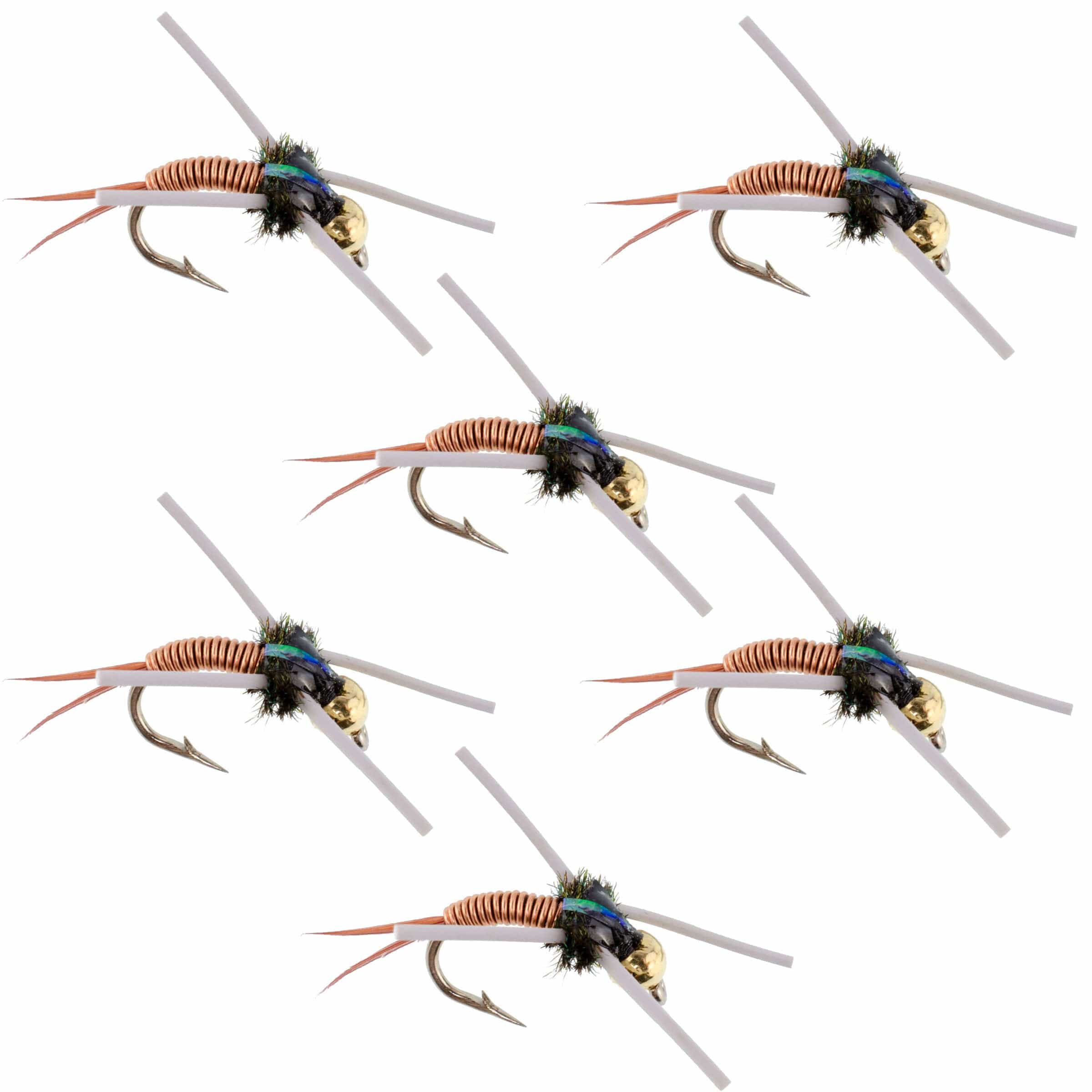 The Fly Fishing Place Trout Wet Flies Tungsten Bead Head Rubber Legs Copper John Nymph Fly Fishing Flies - Set of 6 Flies Hook Size 12