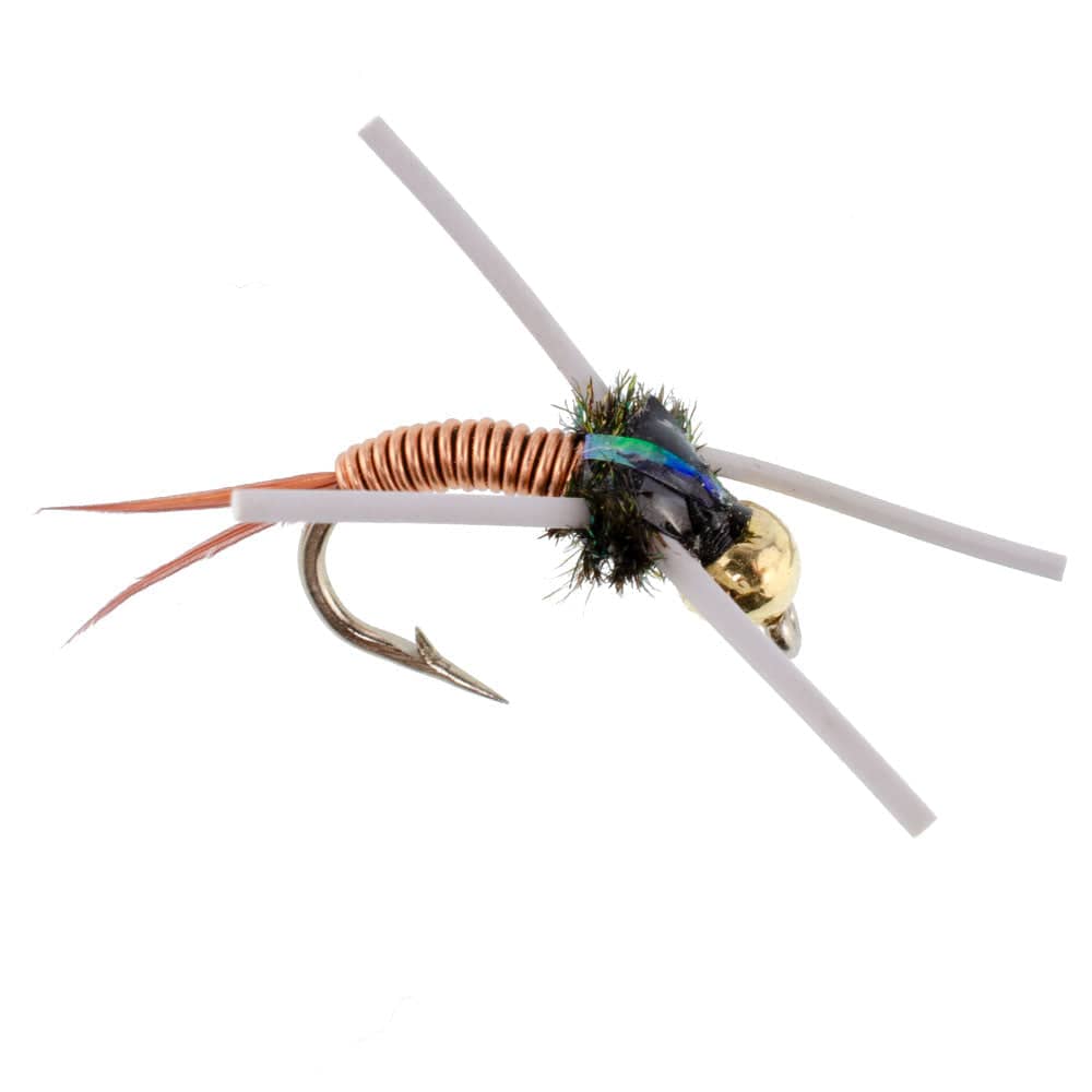 The Fly Fishing Place Trout Wet Flies Tungsten Bead Head Rubber Legs Copper John Nymph Fly Fishing Flies - Set of 6 Flies Hook Size 16