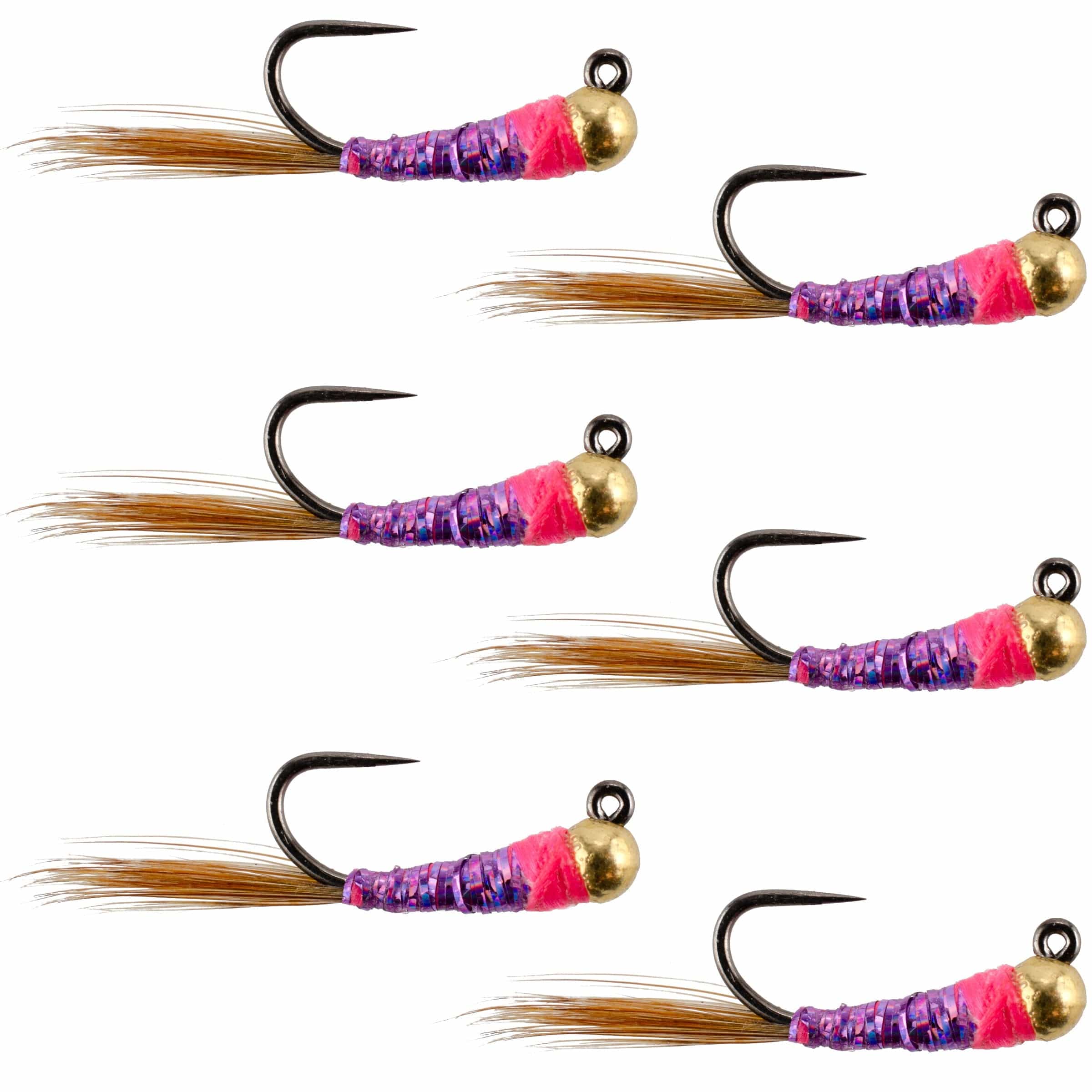 The Fly Fishing Place Trout Wet Flies Tungsten Bead Hot Spot Purple Perdigon Tactical Jig Spanish Czech Euro Nymph Fly - 6 Flies Size 14
