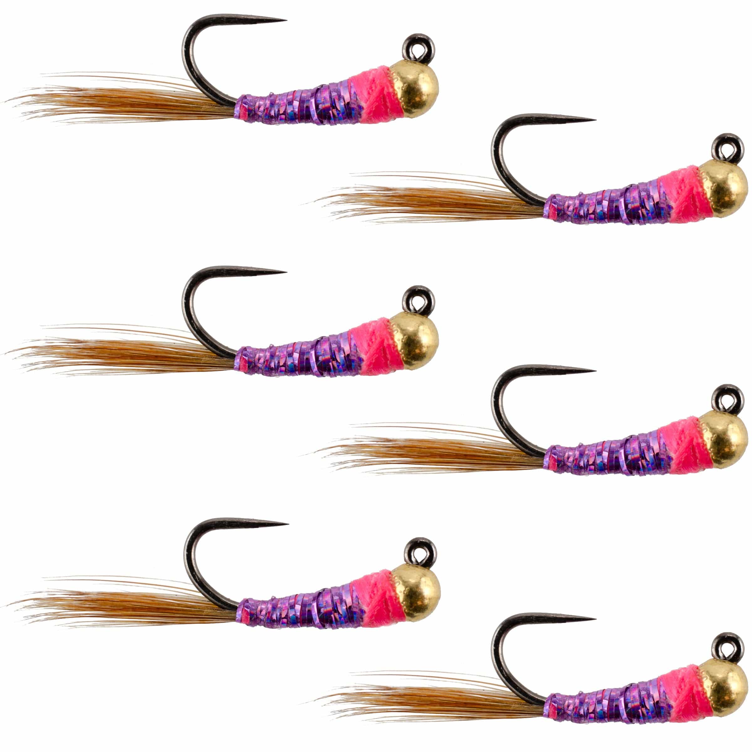 The Fly Fishing Place Trout Wet Flies Tungsten Bead Hot Spot Purple Perdigon Tactical Jig Spanish Czech Euro Nymph Fly - 6 Flies Size 16