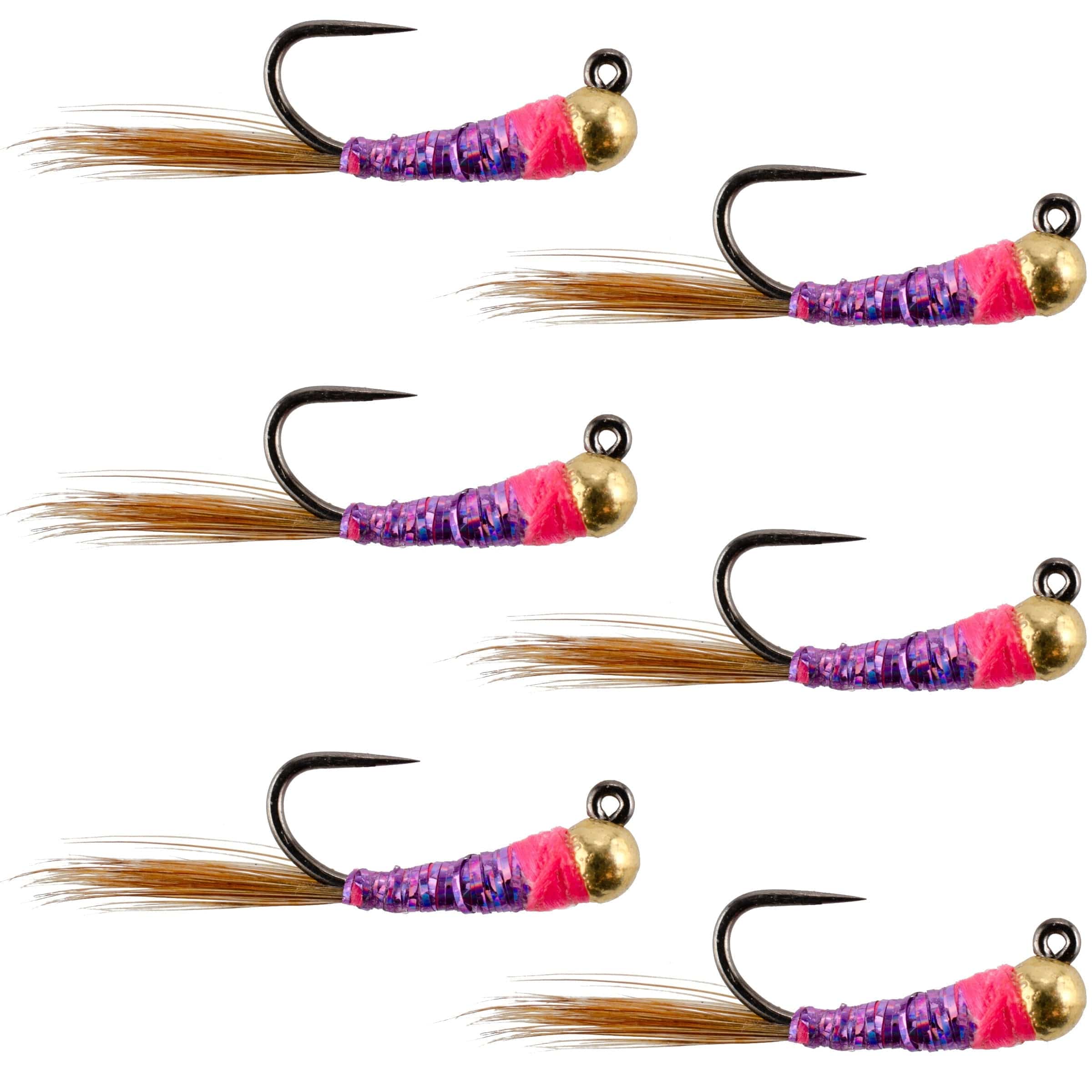The Fly Fishing Place Trout Wet Flies Tungsten Bead Hot Spot Purple Perdigon Tactical Jig Spanish Czech Euro Nymph Fly - 6 Flies Size 18
