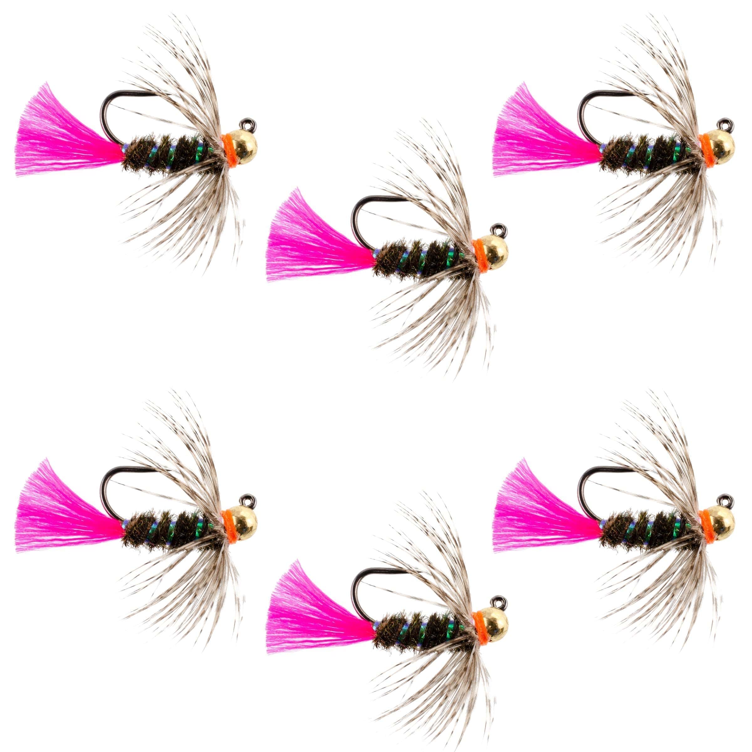 The Fly Fishing Place Trout Wet Flies Tungsten Bead Jig Tactical Blow Torch Czech Nymph Euro Nymphing Fly - 6 Flies Size 10