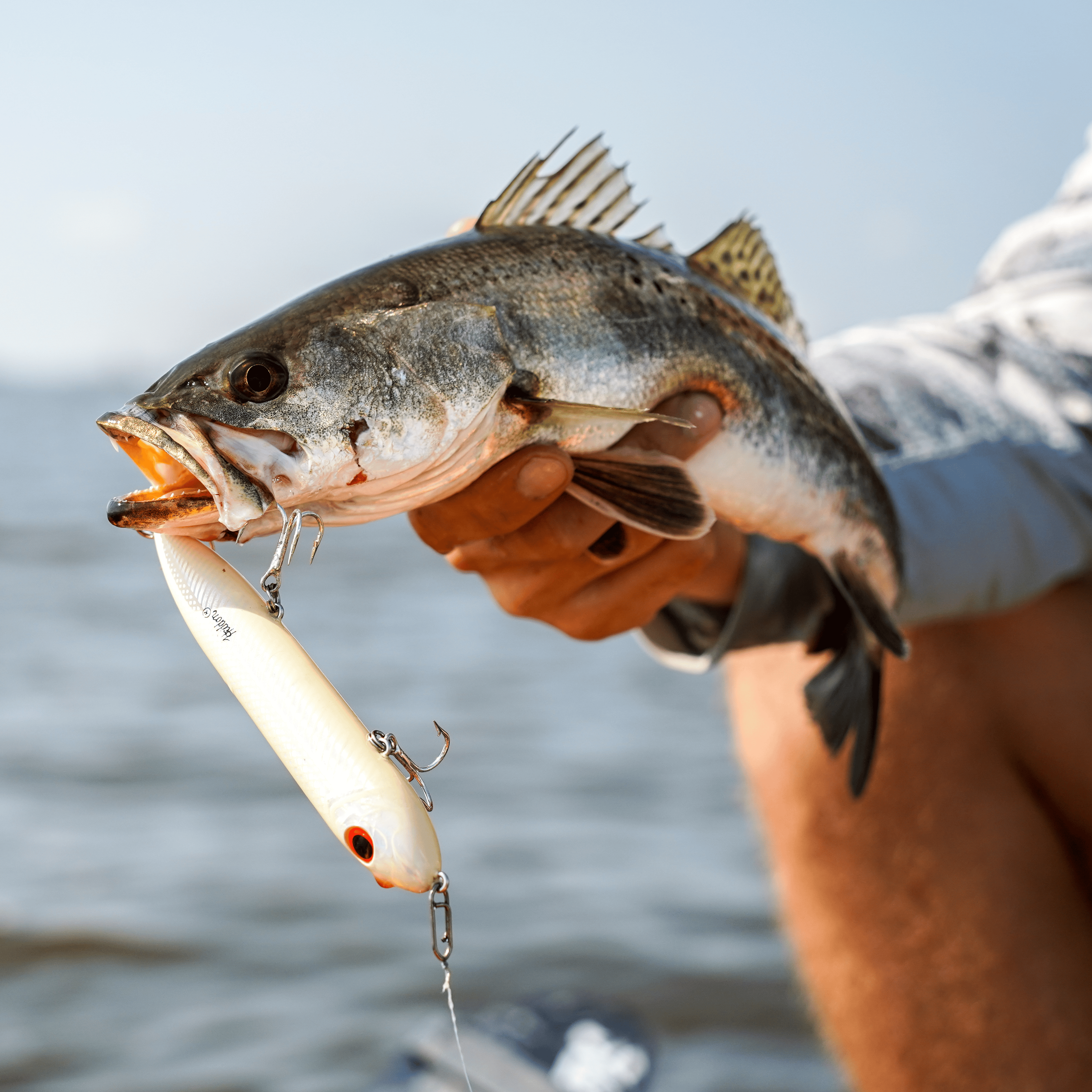 Topwater Co Speed Clip Sample Pack