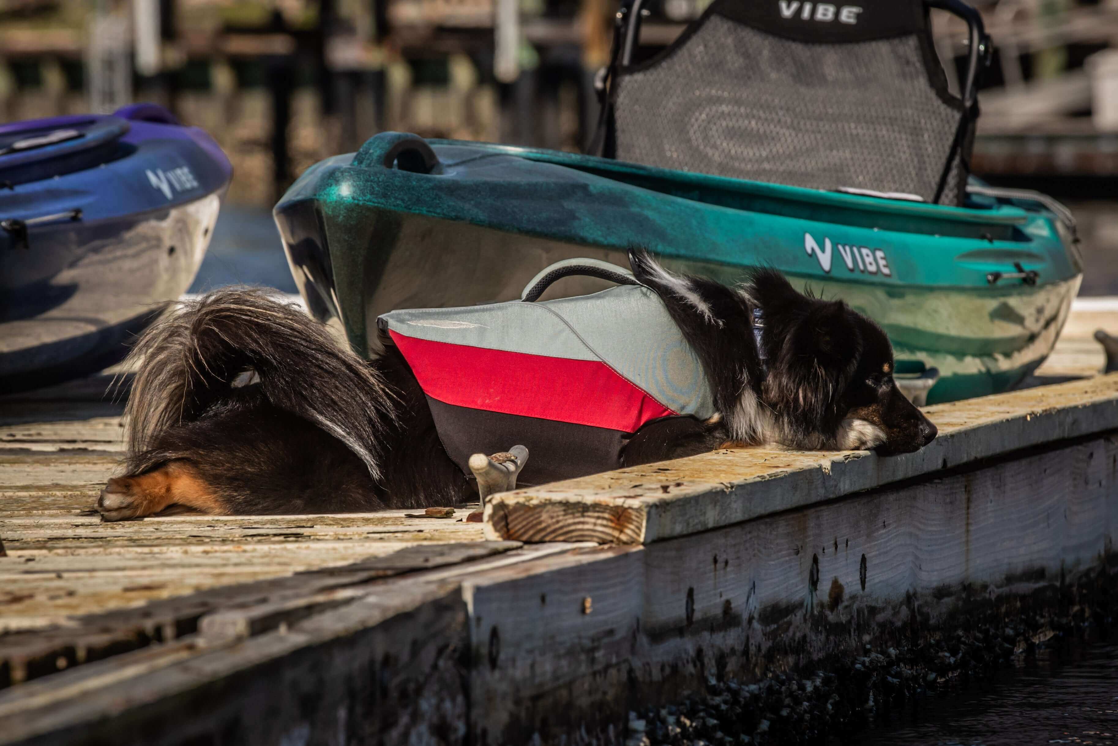 Vibe Kayaks Kayaks Vibe Shaka 100
