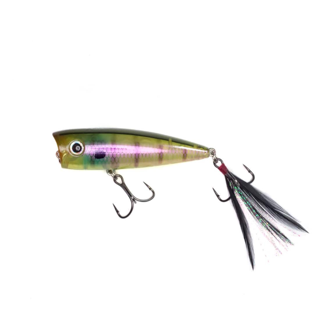 XCITE BAITS Gill Money Villain