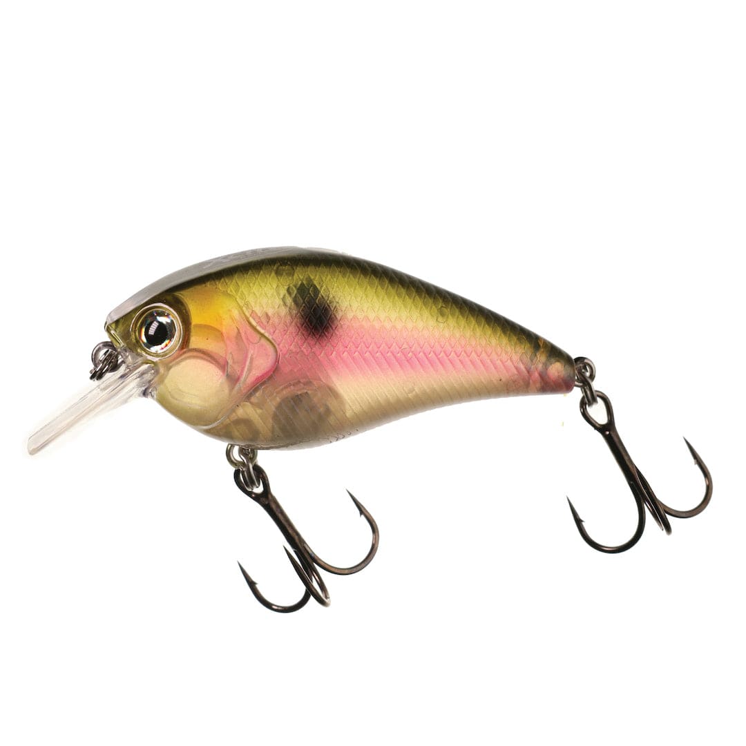 XCITE BAITS Hard Bait Blushing Shad XB-1 Deep Knock Squarebill