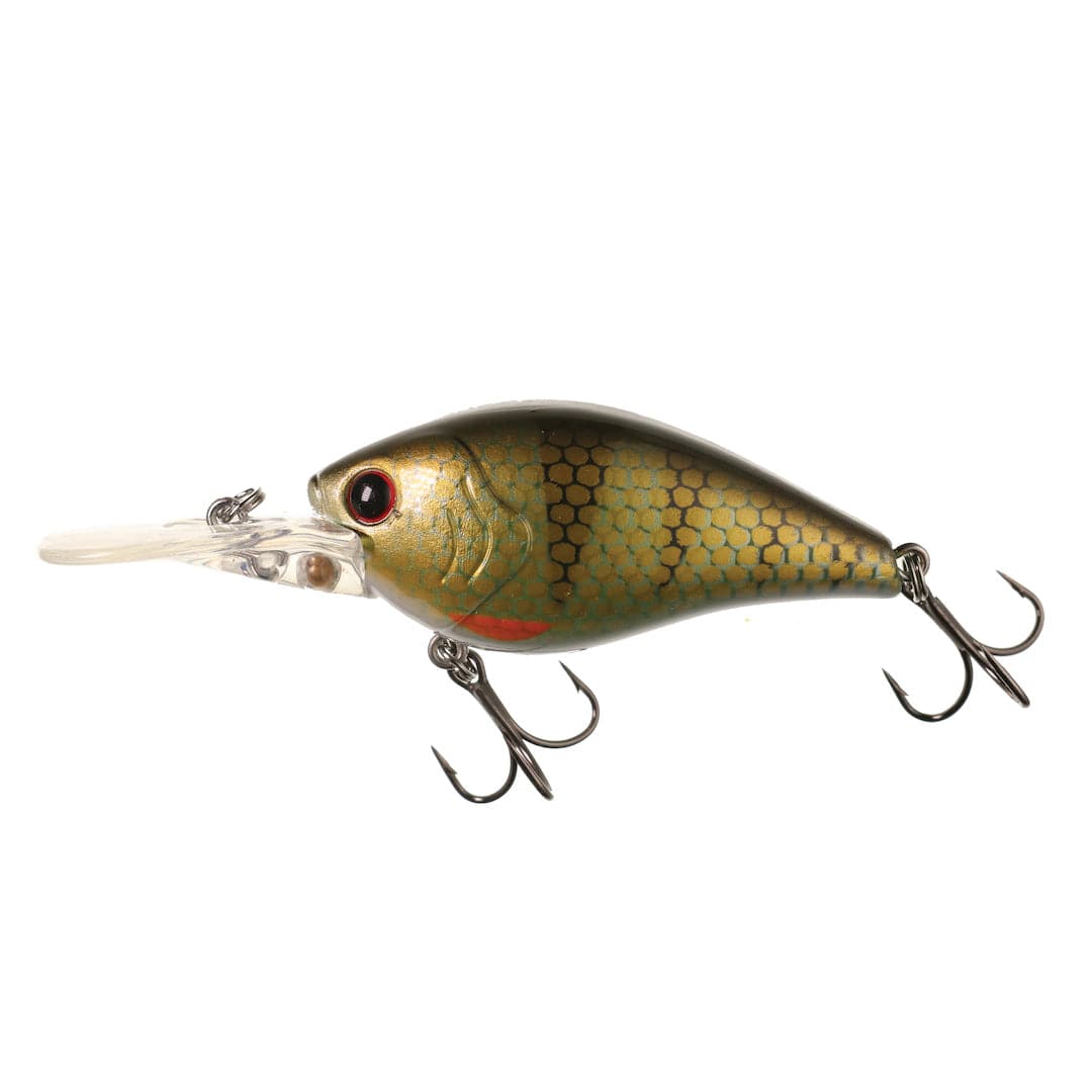 XCITE BAITS Hard Bait Killer Perch XB-1 DD Silent Crankbaits