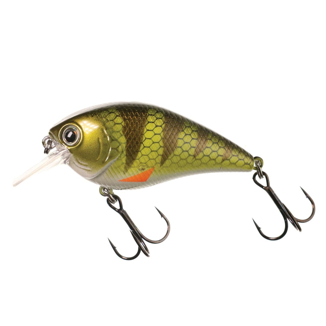XCITE BAITS Hard Bait Killer Perch XB-1 Deep Knock Squarebill