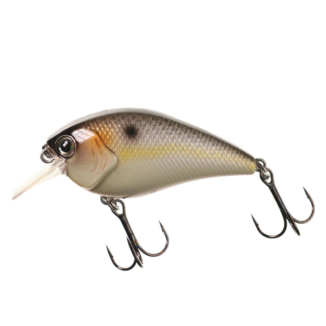 XCITE BAITS Hard Bait Threadfin Shad XB-1 Deep Knock Squarebill
