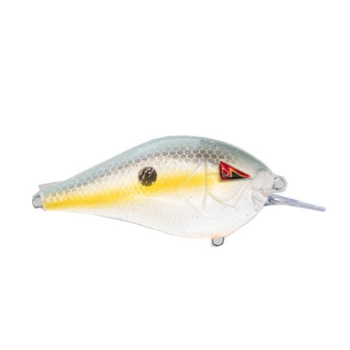 Buy Croch 21pcs Topwater Square Bill Crankbaits for Bass Fishing