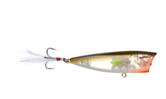 Ark Topwater Popper – MONSTERBASS