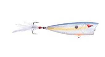 Ark Fishing Topwater Sexy Shad Ark Topwater Popper