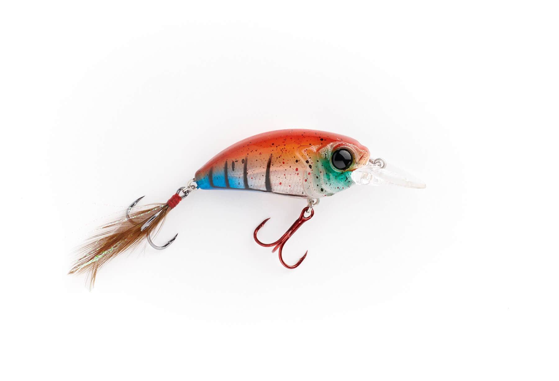 Rollo 6 – MONSTERBASS