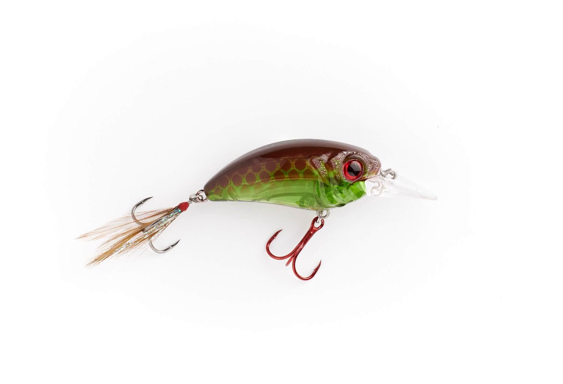 Rollo 6 – MONSTERBASS